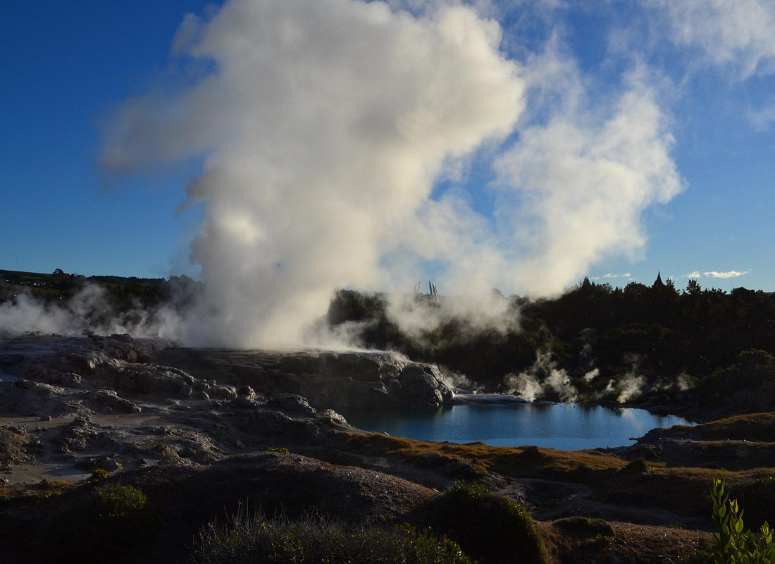 7 Hours Te Puia Rotorua Tour from Tauranga with Concert